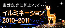 �C���~�l�[�V����2010-2011