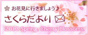 さくらだより さくらだより
