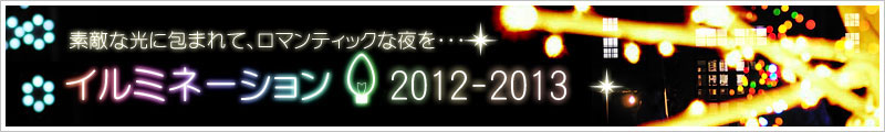 C~l[V2010-2011