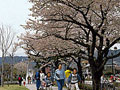 岡谷湖畔公園 (諏訪湖上噴水）